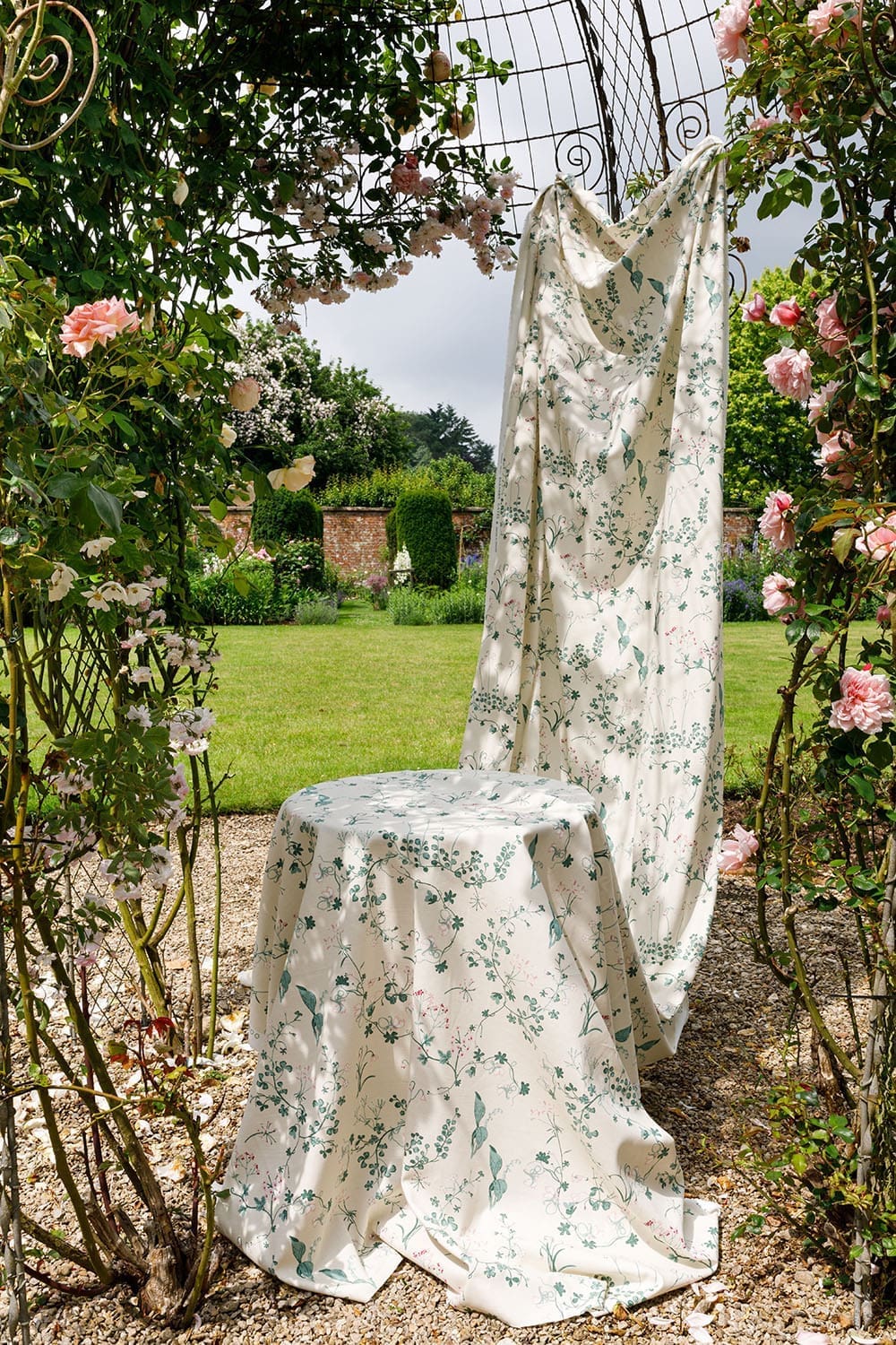 Darling Buds of May