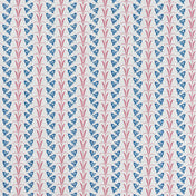 Blue / Raspberry