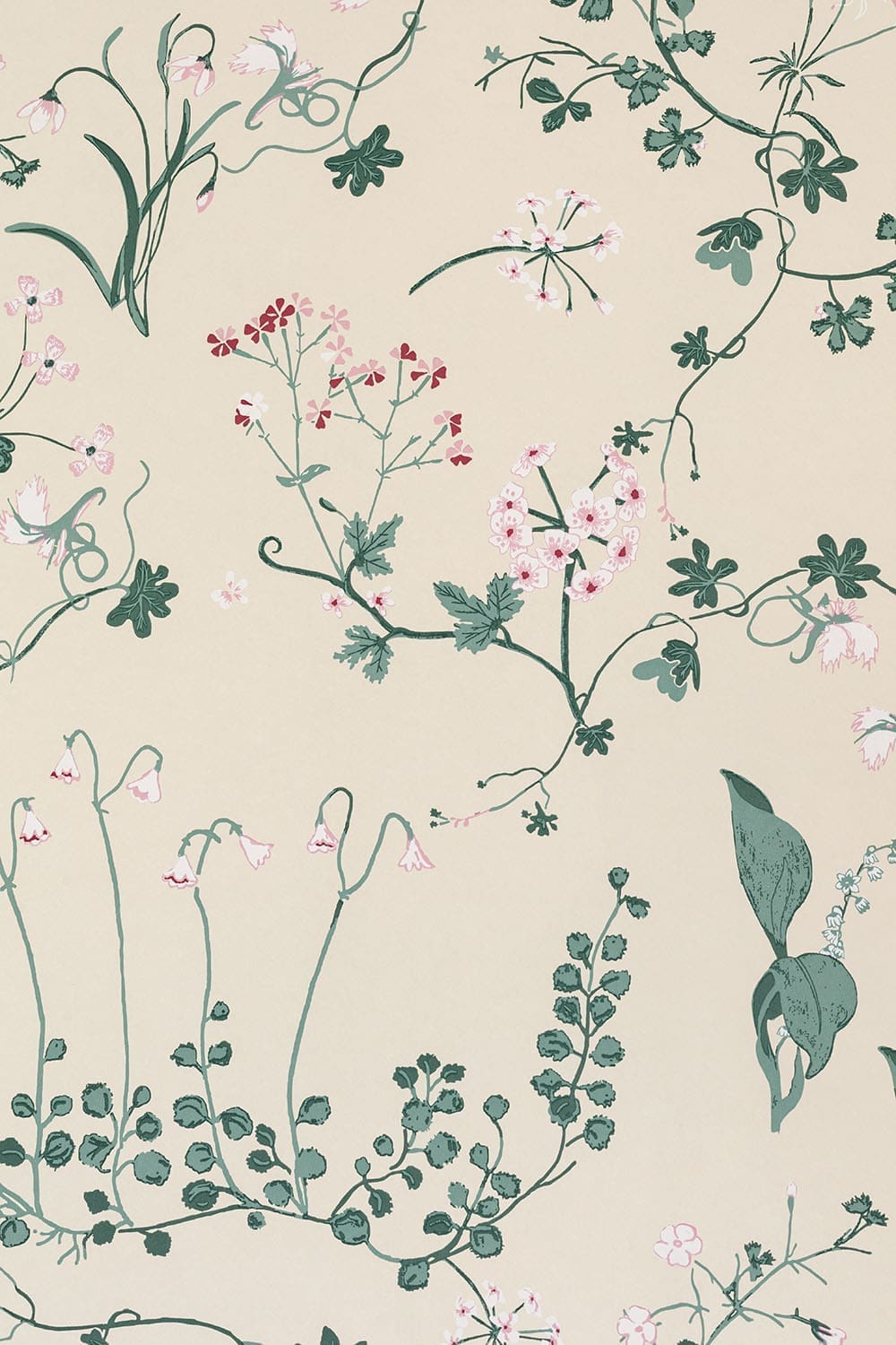 Botanica Wallpaper Collaboration With Willow Crossley in Ivory by Barneby Gates