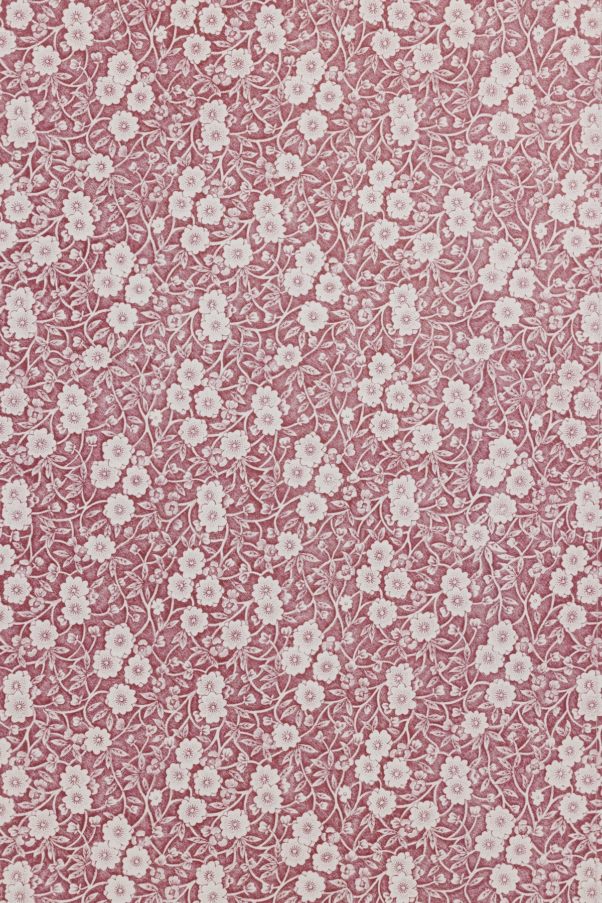 Calico Wallpaper Collaboration With Burleigh in Burnt Rose by Barneby Gates
