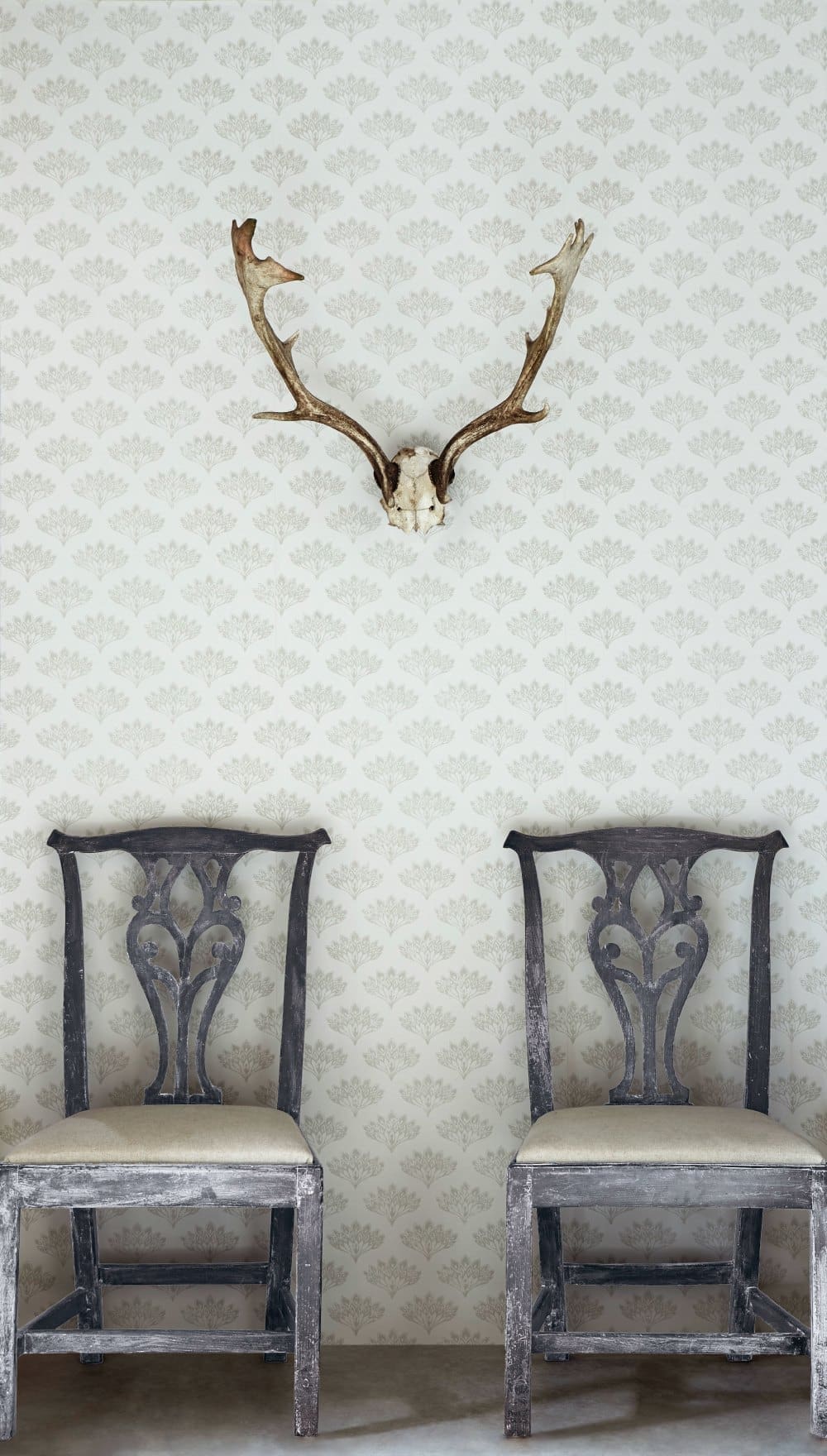 Peacock Wallpaper in Grey by Barneby Gates