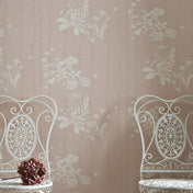 Plaster